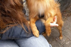 Osterputz