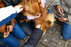 Osterputz1