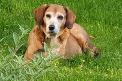 Regenbogen Sammy-3