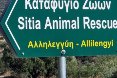 2025_Sitia_neues-Shelter11