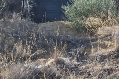 2025_Sitia_neues-Shelter12