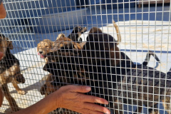 2025_Sitia_neues-Shelter14