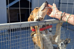 2025_Sitia_neues-Shelter15