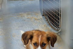 2025_Sitia_neues-Shelter2