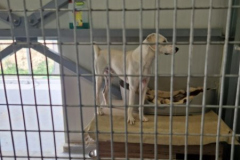 2025_Sitia_neues-Shelter3