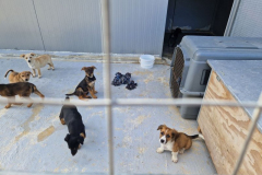 2025_Sitia_neues-Shelter5