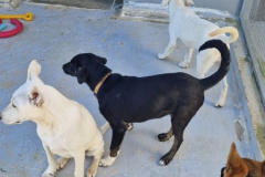 2025_Sitia_neues-Shelter6