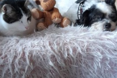 2025_Gnadenho_Skippy3_verm