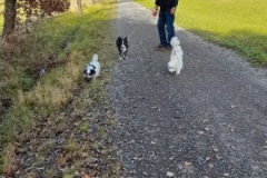 2025_Gnadenho_Skippy5_verm