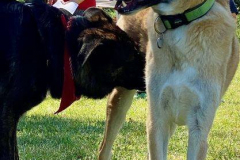 2022-Sommerfest_Manu