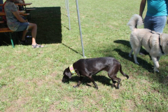 2022_Sommerfest-104