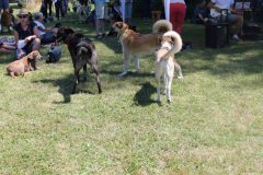 2022_Sommerfest-11