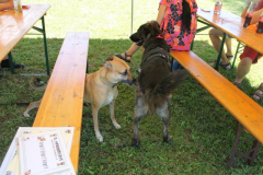 2022_Sommerfest-111