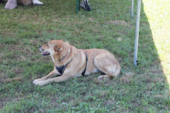 2022_Sommerfest-114