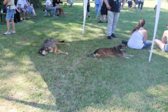 2022_Sommerfest-145