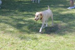 2022_Sommerfest-149