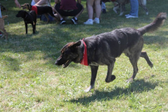 2022_Sommerfest-150