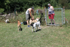 2022_Sommerfest-16