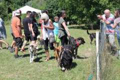 2022_Sommerfest-184