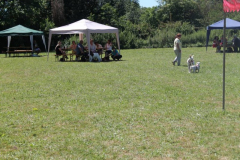 2022_Sommerfest-19