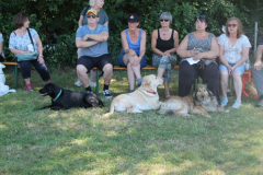 2022_Sommerfest-2