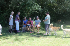 2022_Sommerfest-21