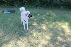 2022_Sommerfest-212