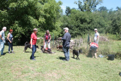 2022_Sommerfest-223