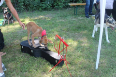 2022_Sommerfest-253