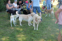 2022_Sommerfest-255