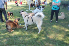 2022_Sommerfest-279
