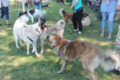 2022_Sommerfest-280