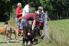 2022_Sommerfest-300