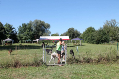 2022_Sommerfest-77