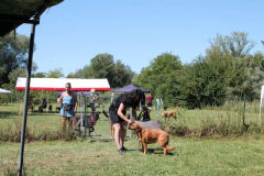2022_Sommerfest-94