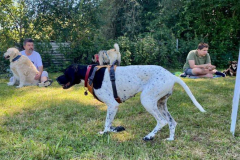 2022_Sommerfest_Manu10