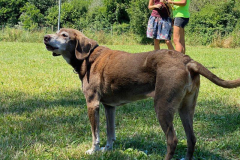 2022_Sommerfest_Manu11