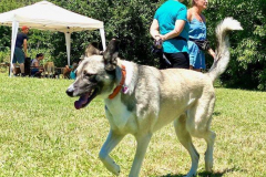 2022_Sommerfest_Manu13