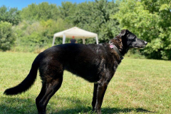 2022_Sommerfest_Manu14