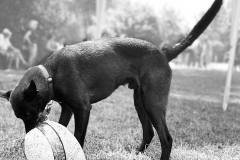 2022_Sommerfest_Manu15