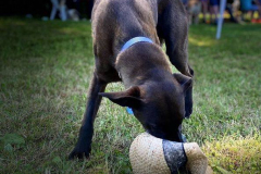 2022_Sommerfest_Manu17