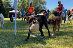 2022_Sommerfest_Manu18