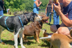 2022_Sommerfest_Manu19