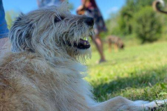 2022_Sommerfest_Manu20