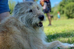 2022_Sommerfest_Manu21