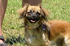 2022_Sommerfest_Manu22