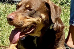 2022_Sommerfest_Manu23