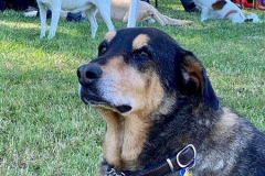 2022_Sommerfest_Manu24