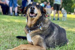 2022_Sommerfest_Manu26