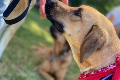 2022_Sommerfest_Manu6